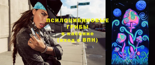 Альфа ПВП Няндома