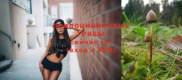 амф Армянск